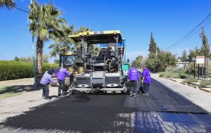 Carril a Lavalle (6)