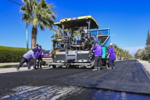 Carril a Lavalle (7)