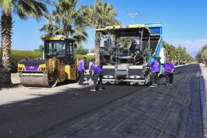 Carril a Lavalle (9)