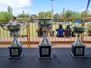 Copa Guaymallén Capital del Espumante 2025 (12)