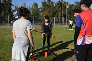 Programas_15 (1)