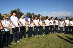 Programas_27