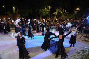 Día de la Danza (3 de 31)