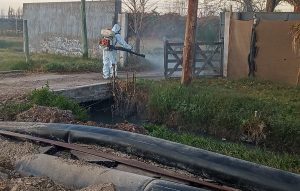 Desinfección de Ambiente en la 2 de Mayo (1)