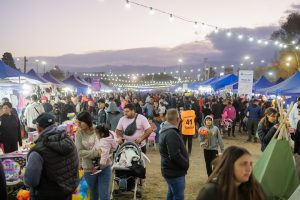 Asoc. Feria del Juguete (2)
