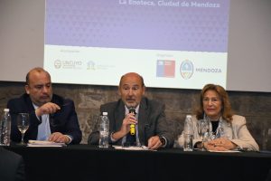 Encuentro Binacional de Innovación Pública y Gobierno Digital (5)
