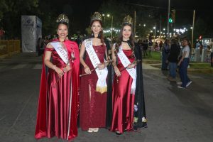 Fiesta de las Colectividades 2025 (Paseo de Artesanos) (16)