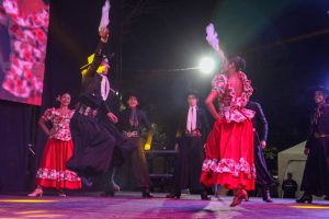 Fiesta de las Colectividades 2025 (Paseo de Artesanos) (21)