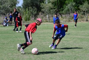 Guayma_10