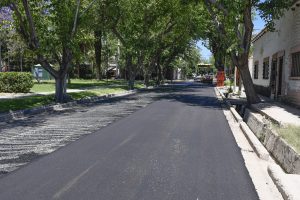 lópez de gomara (6)