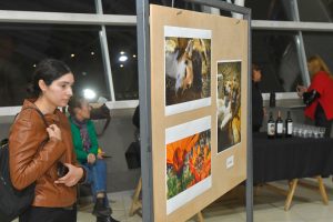 muestra Aulas para el tiempo libre (4)