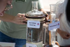 Feria INTA (14 de 57)