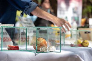 Feria INTA (19 de 57)