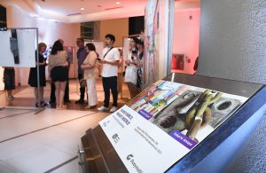 Muestra Mundo onírico (1)