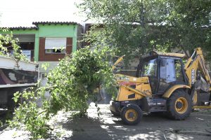 Operativo Espacios Verdes (10)
