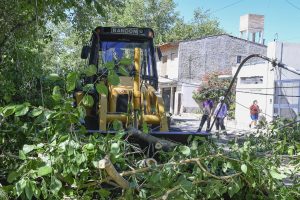 Operativo Espacios Verdes (4)