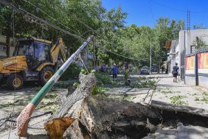 Operativo Espacios Verdes (7)