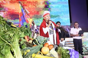 Guaymallén de mis Amores - Vendimia 2026 (15)