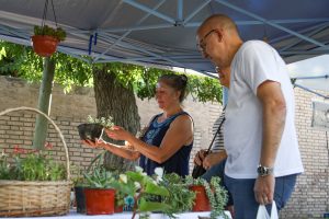 Paseo de Arte Los Corralitos (9 de 25)