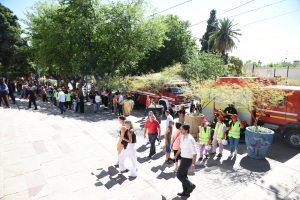 Simulacro de sismo (31)