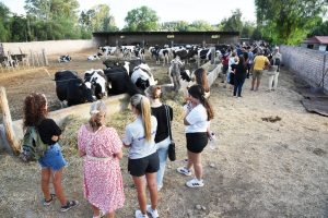 ????????????????????????????????????