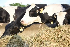 ????????????????????????????????????