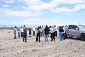 terreno Parque Solar Puente de Hierro (16)