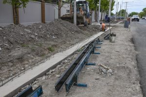 Bandera de Los Andes (2)