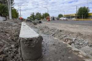 Bandera de Los Andes (6)