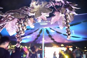 Fiesta de la Cosecha 2026 (5)