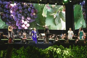 Fiesta de la cosecha 2026 (30)