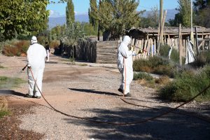 Desinfección asentamiento Los Hornos (1)