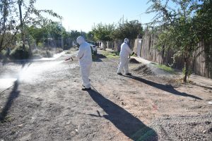 Desinfección asentamiento Los Hornos (11)