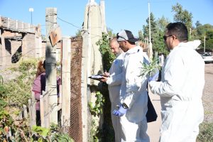 Desinfección asentamiento Los Hornos (13)