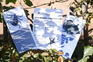 Desinfección asentamiento Los Hornos (14)