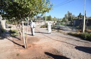 Desinfección asentamiento Los Hornos (3)