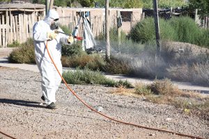 Desinfección asentamiento Los Hornos (4)