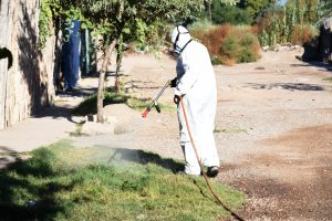 Desinfección asentamiento Los Hornos (6)