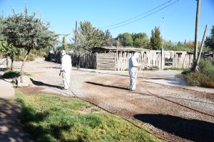 Desinfección asentamiento Los Hornos (9)