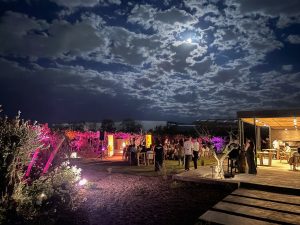 Música por los Caminos del Vino- Rubino (1)