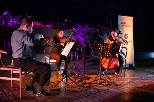 Música por los Caminos del Vino- Rubino (9)