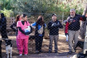 Operativo por el Día del Animal -2026 (10)