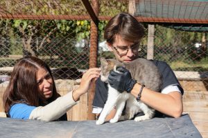 Operativo por el Día del Animal -2026 (11)