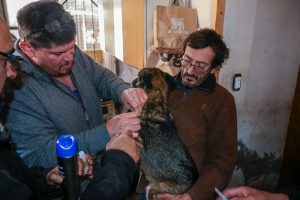 Operativo por el Día del Animal -2026 (12)