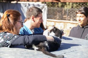 Operativo por el Día del Animal -2026 (15)