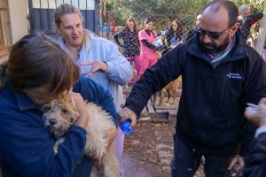 Operativo por el Día del Animal -2026 (2)