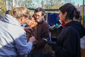 Operativo por el Día del Animal -2026 (5)