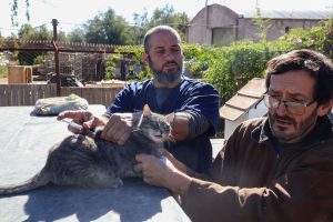 Operativo por el Día del Animal -2026 (9)