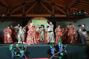 Vendimia Inclusiva-8