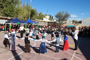 Vendimia en la Vélez-4